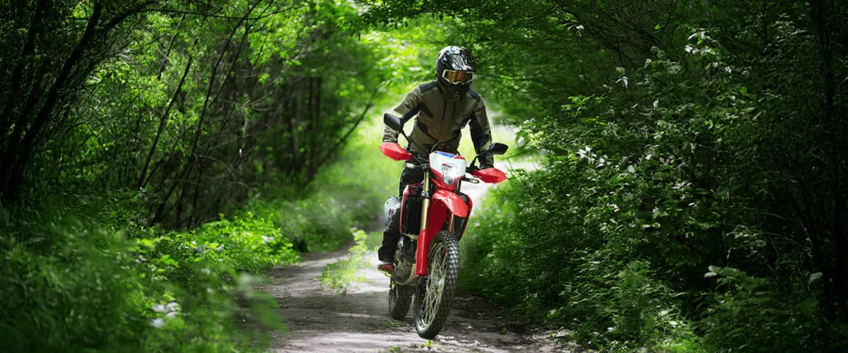 Honda CRF250L foto 2